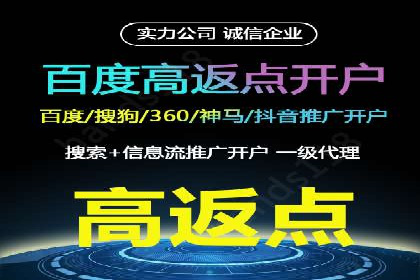 成功SEM代理案例：精准投放的策略